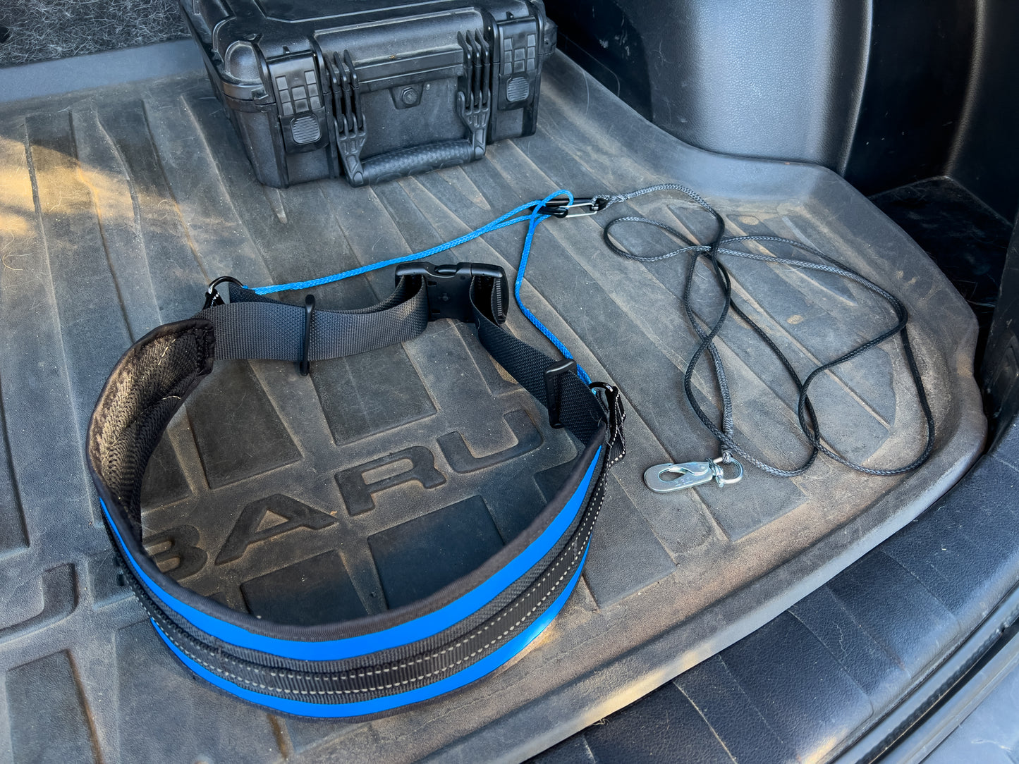 Minimalist Canicross & Skijoring Belt - (Hands Free Dog Walking Belt)