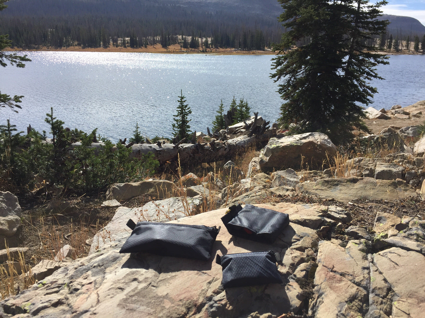 Zipper Pouch - Medium