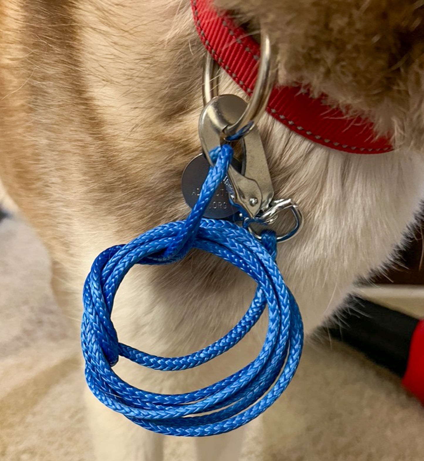 Ultralight Minimalist Pocket Leash 6ft length (DCF, UHMWPE, Dyneema©)